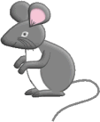 mouse-animated