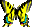 T yellow butterfly