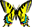W - butterfly