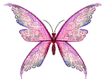 butterfly with star animation