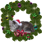 wreath cat