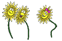 animated-sunflowers.gif