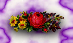 yellow and red flower background