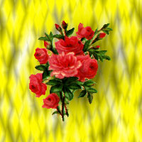 red flowers on a yellow background