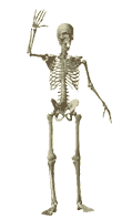 skeleton-walk-21.gif