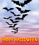 coven of bats - happy halloween