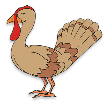 turkey