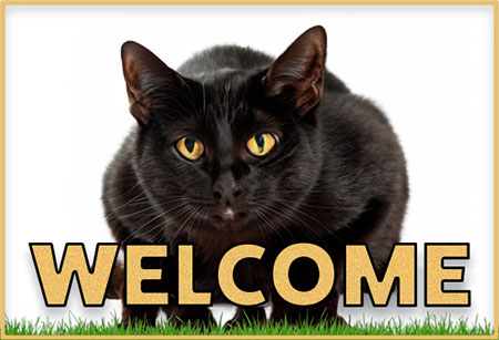 cat welcome