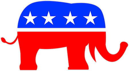 America flag elephant