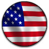 American Flag button