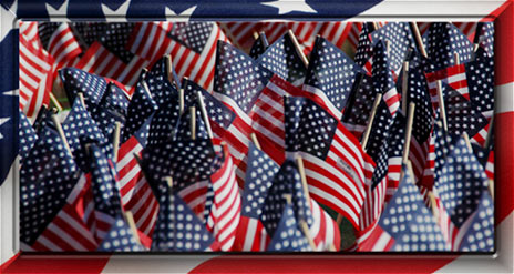 many American Flags with frame