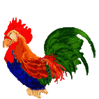 rooster animated