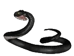 animated black snake