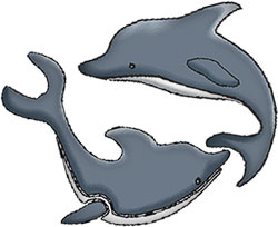 dolphins