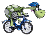 turtle riding bicycle