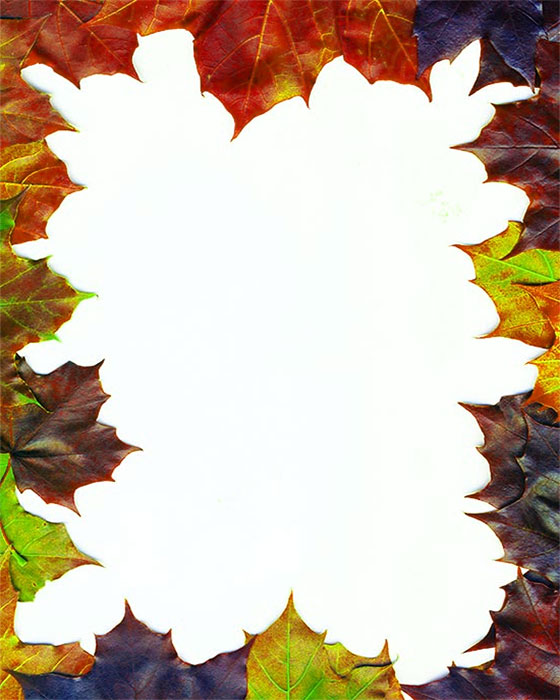 autumn leaves frame