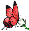 animated butterfly on flower