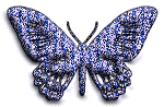 blue butterfly animation