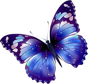 Free Animated Butterfly Clipart - Butterfly Gifs - Graphics