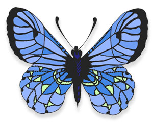 butterfly image