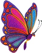 butterfly with bright colors animated