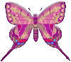butterfly graphics red blue