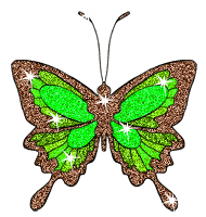 butterfly with glitter