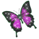 butterfly with star animation