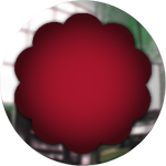 round red glass button with frame