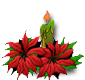 candle graphic with poinsettias