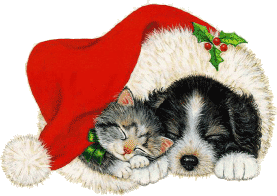 Christmas puppy and kitten