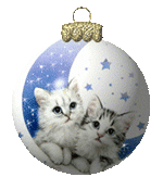 Christmas ornament kittens