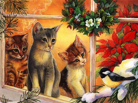 Christmas cats