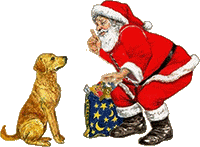 Santa dog present