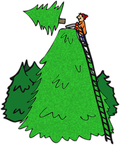 the perfect Christmas Tree
