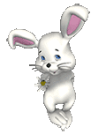 bunny flower