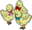 chicks