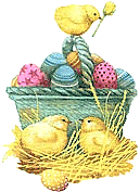 colored eggs in Easter basket with chicks