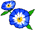 blue & white animated flower