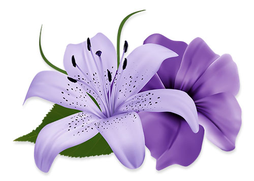 purple flowers