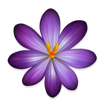 purple flower