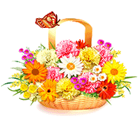 flower basket animation