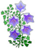 purple bell flowers
