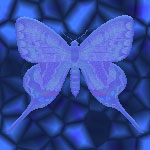 butterfly backgrounds