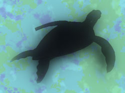 leatherback sea turtle background