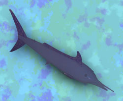 marlin background