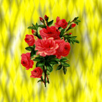 red flower background