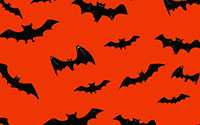 bats flying