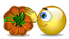 pumpkin animation
