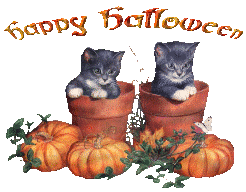Halloween kittens